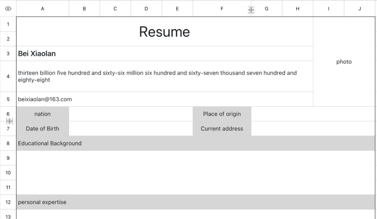Light Grey Personal Resume